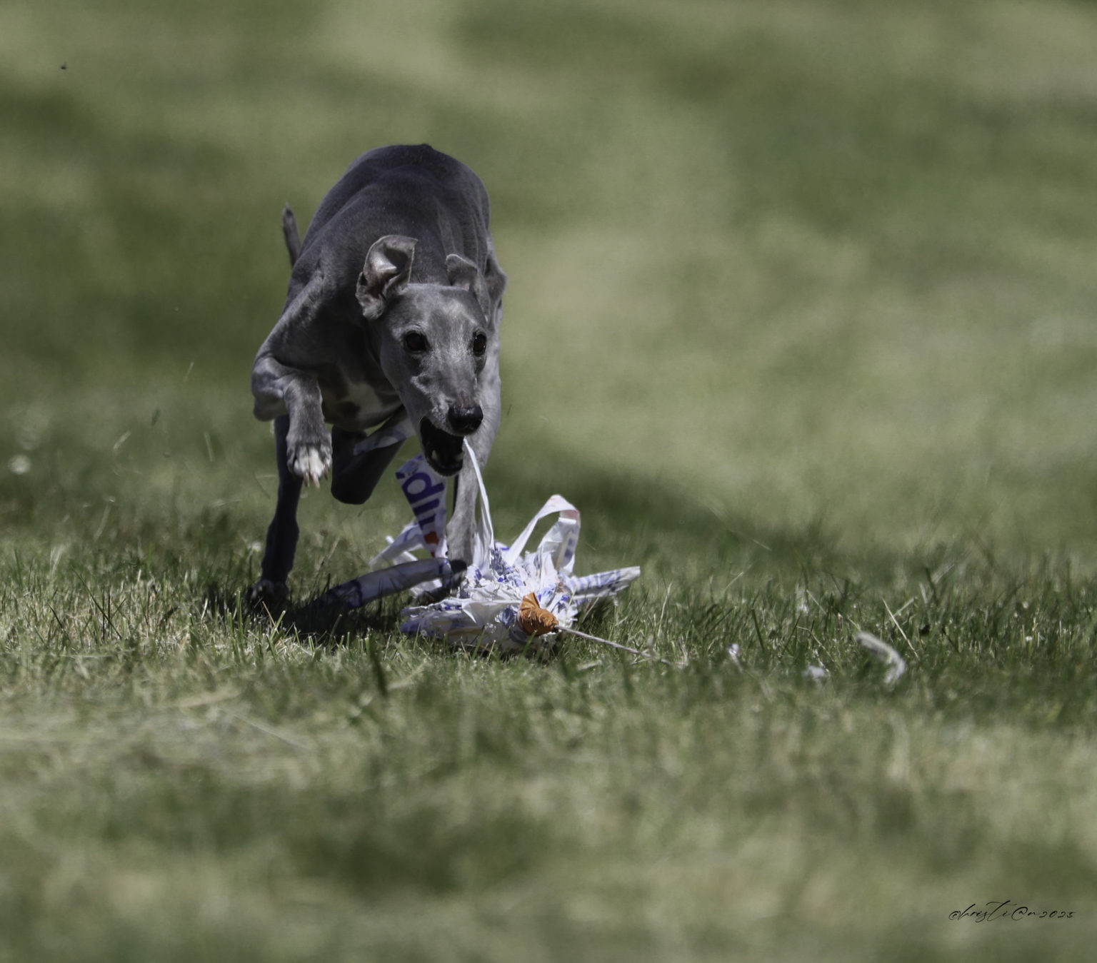11052025-R5II1497